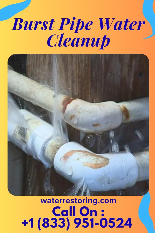 Burst Pipe Water Cleanup in Superior, IA